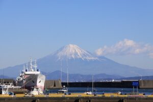 fuji&yaizu